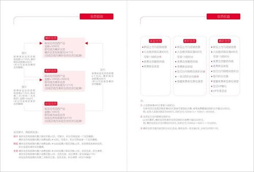 四個(gè)石頭 射洪縣畫(huà)冊(cè)設(shè)計(jì)與企業(yè)形象策劃的專(zhuān)業(yè)力量
